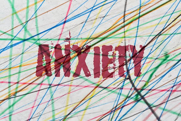 Somatic Symptom & Illness and Health Anxiety